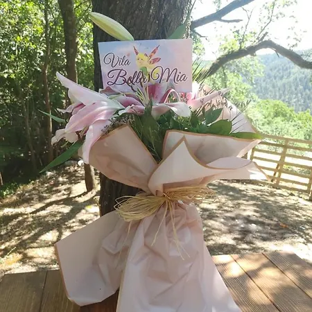 Villa Bella Mia