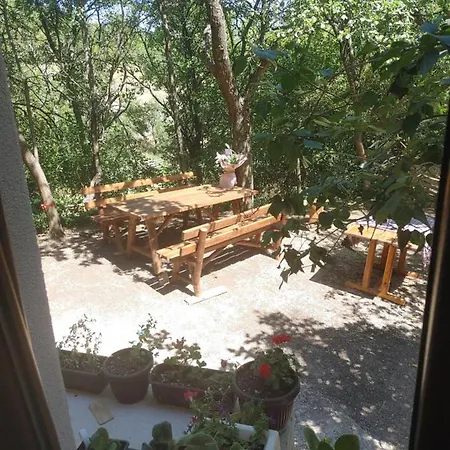 Bella Mia