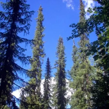 Villa Bella Mia Timotijevici