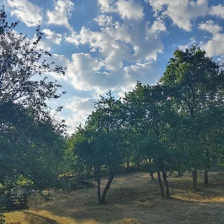 Villa Bella Mia Timotijevici