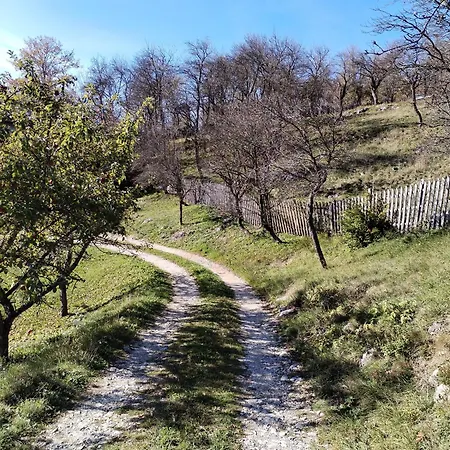 Villa Bella Mia Timotijevici